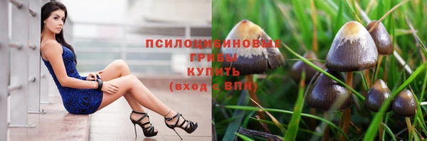ешки Балахна