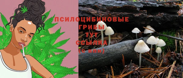 ешки Балахна