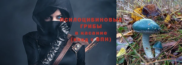 дмт Баксан