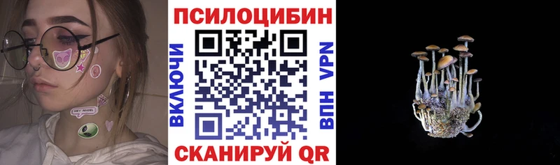 Псилоцибиновые грибы Psilocybe omg вход Онега хочу